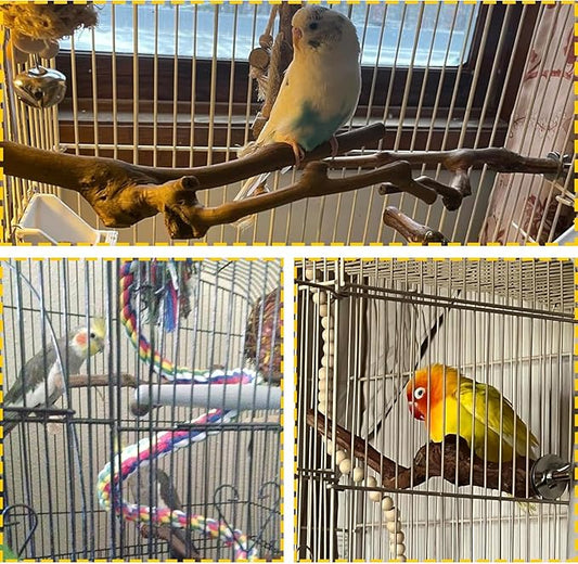 PINVNBY 2Pcs Wood Perches for Bird Cage, Natural Parrot Stand Branch Parakeet - Image 2