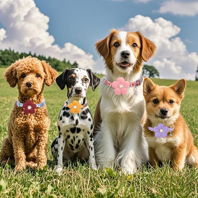 Medium Dog Collar with Flower, Dog Collars - Image 6
