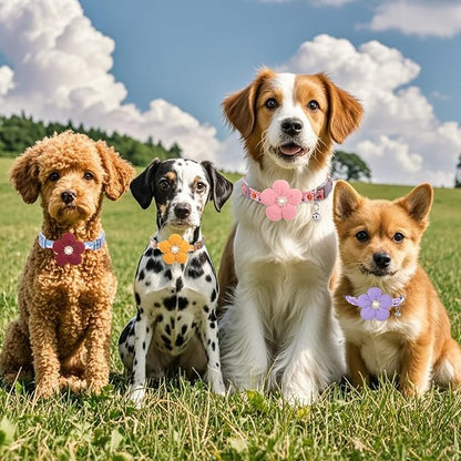 Medium Dog Collar with Flower, Dog Collars - Image 6