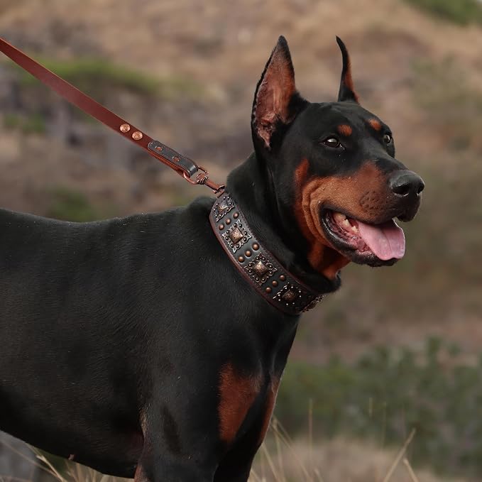 PET ARTIST Soft Padded Leather Dog Collar, 2 inch Wide Genuine Leather Dog - Image 2