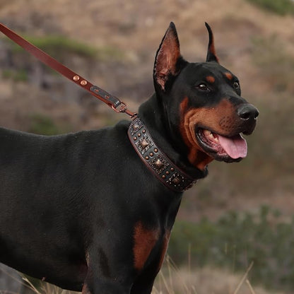 PET ARTIST Genuine Leather Dog Collar - Image 2