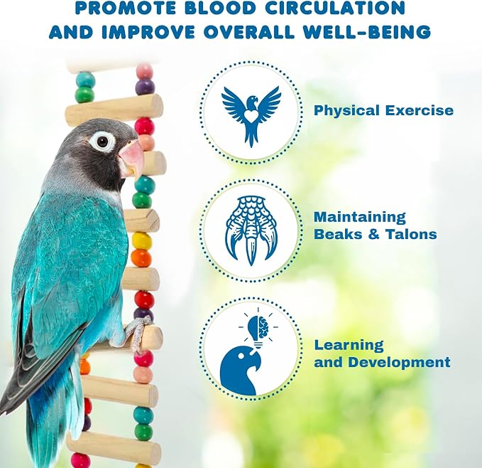 SunGrow Wooden Bird Ladder Bridge, Hanging Exercise Toy, Bird Playground Cage - Image 5