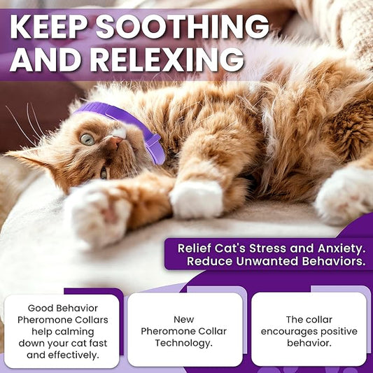 Pheromone Calming Collar for Cats: Breakaway Cat Calming Collar for Anxiety - Image 2