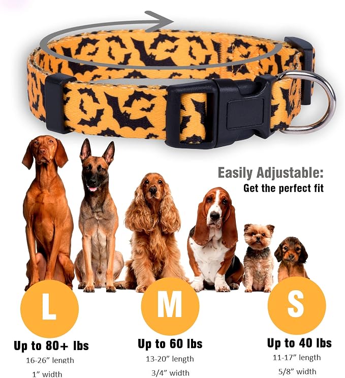 Native Pup Halloween Dog Collar - Image 3