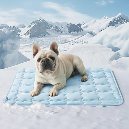 Bedsure Cooling Mat for Medium Dogs – 29x21 Thin Washable Cooling Pet Pad for by BEDSURE