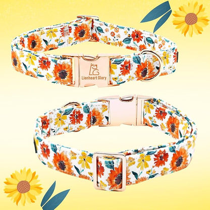 Lionheart Glory Floral Dog Collar - Image 5