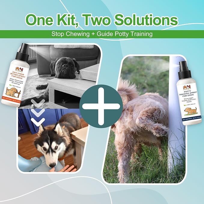 Dog Behavior Training Kit – 2-Pack No Chew Spray + Potty Training Spray – - Image 4