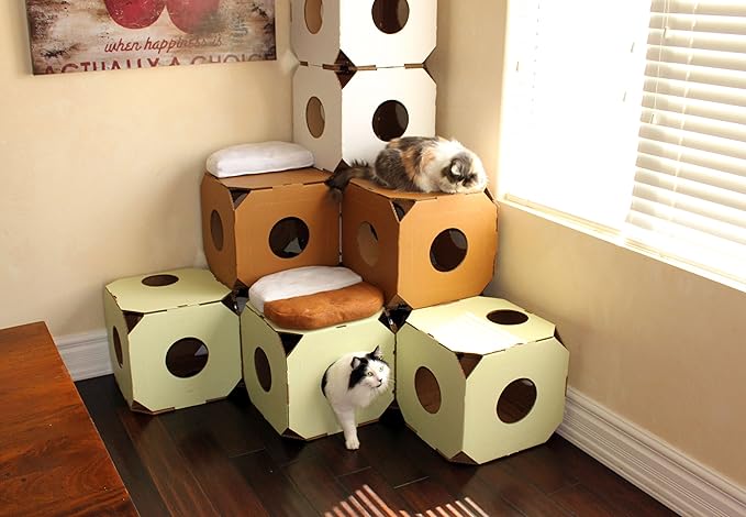Durable, Modular Cat House Cubes/Cat Condos, Made in USA - Image 5