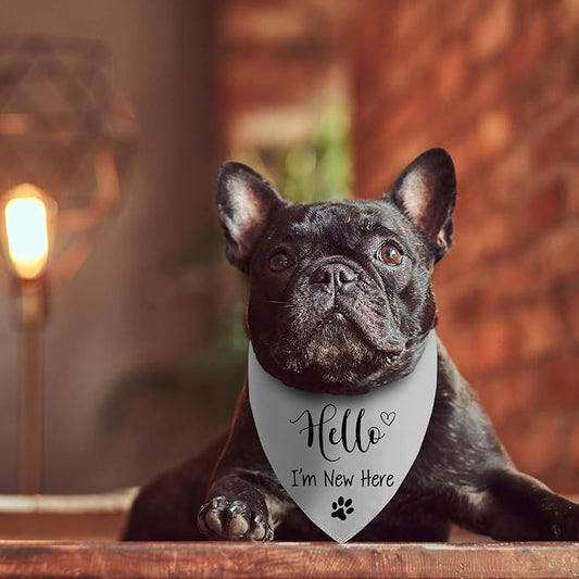 Hello I'm New Here Dog Bandana, New Puppy Reveal Party Photo Prop, Cute New - Image 2
