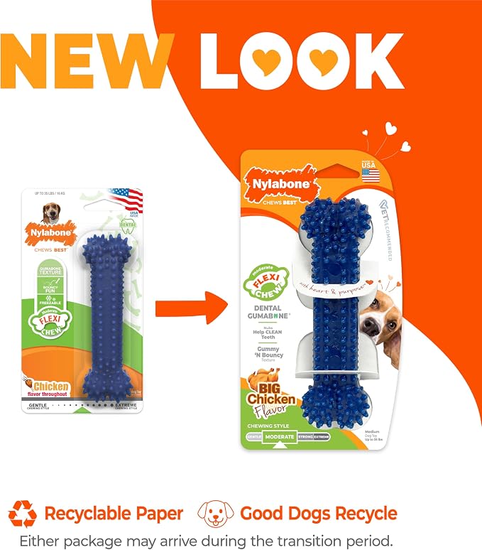 Nylabone Textured Dental Bone Flexi Chew Toy - Image 8