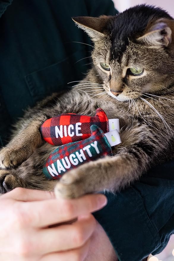 Pearhead Naughty Or Nice Christmas Cat Toy Set, Holiday Pet Owner Gift - Image 5