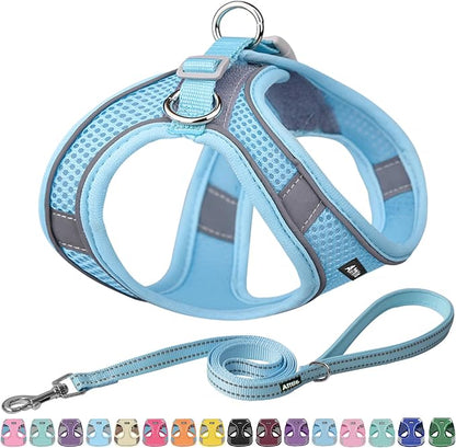AIITLE Dog Harness, No-Pull Cat Harness by AIITLE-FORPETSBETTERLIFE