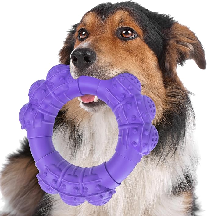 Indestructible Dog Chew Toys for Aggressive Chewers, Super Chewer Toys for by DAOZIJI