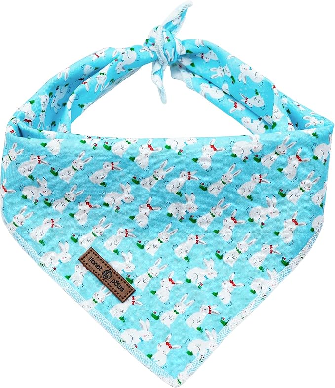 lionet paws Easter Bunny Dog Bandana by lionetpaws
