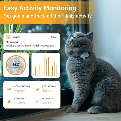 Pawfit Lite for Cats 4g GPS Tracker | Ultra-Small Design | Real-Time Tracking | - Image 4
