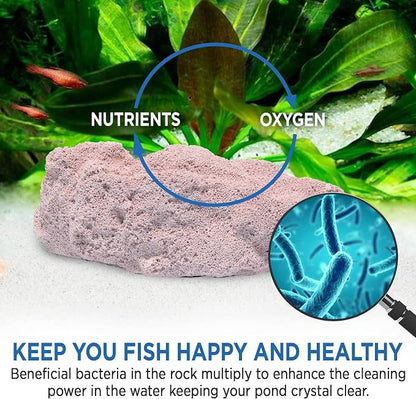 Fish Tank Rocks for Enhancing Water Clarity - Image 7