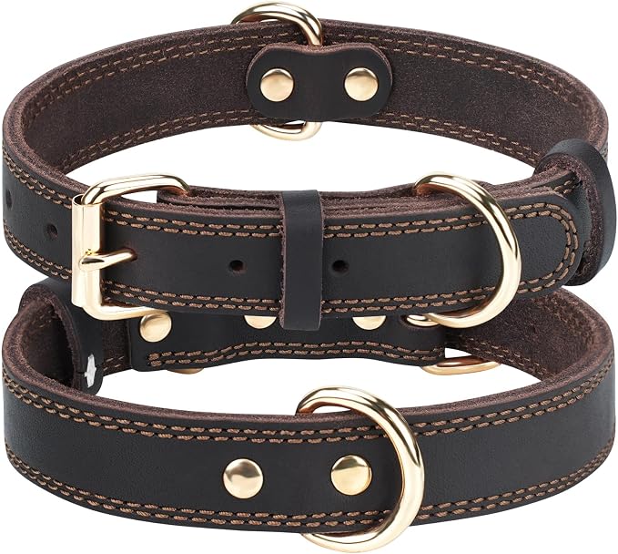 Joytale Leather Dog Collar for Small Dogs, Genuine Solid Sturdy Leather for by Joytale