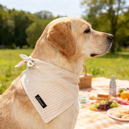 ARING PET Summer Dog Bandana-Cute Khaki Dog Bandanas, Comfortable Pet Scarf - Image 5