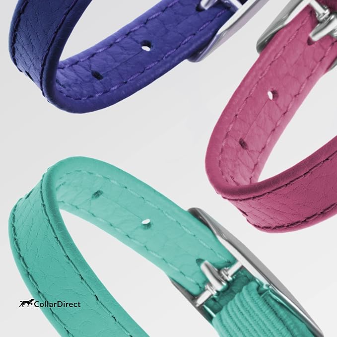 CollarDirect Leather Cat Collar, Kitten Collar - Image 8