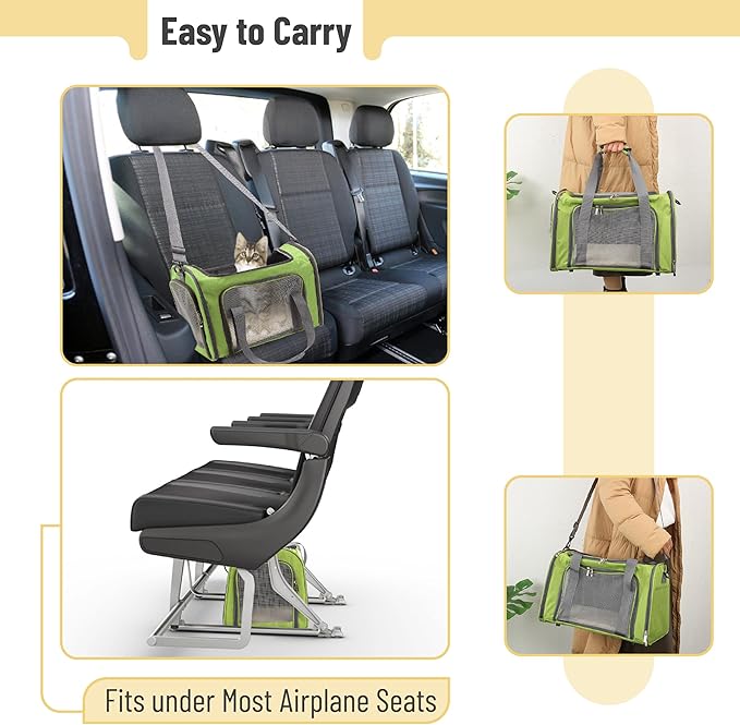 Mr. Pen- Pet Carrier for Cats & Dogs - Image 5