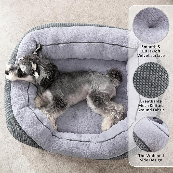 INVENHO Small Dog Bed for Small Dogs, Cat Beds for Indoor Cats Washable - Image 2