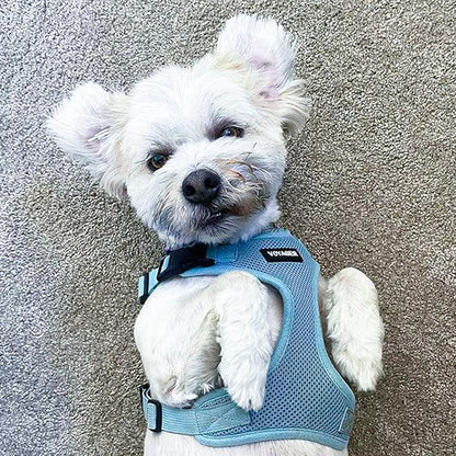 Voyager Step-in Pet Harness - Image 8