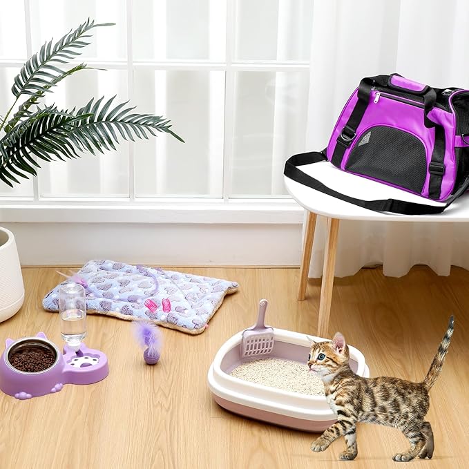 Eccliy Kitten Starter Kit, Pet Toy, Folding Carrier, Climbing Frame, Automatic - Image 2