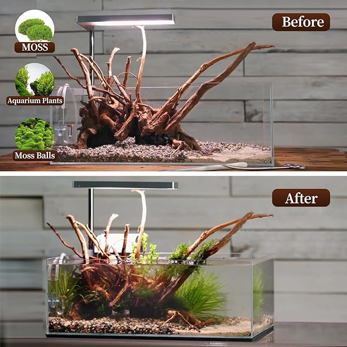 majoywoo Natural Large Driftwood - Image 5