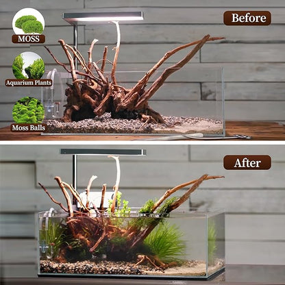 majoywoo Natural Large Driftwood - Image 5