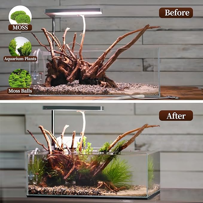majoywoo Natural Large Driftwood - Image 5