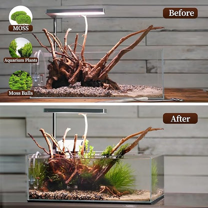 majoywoo Natural Driftwood for Aquarium Decor Fish Tank Decorations, Reptile - Image 5