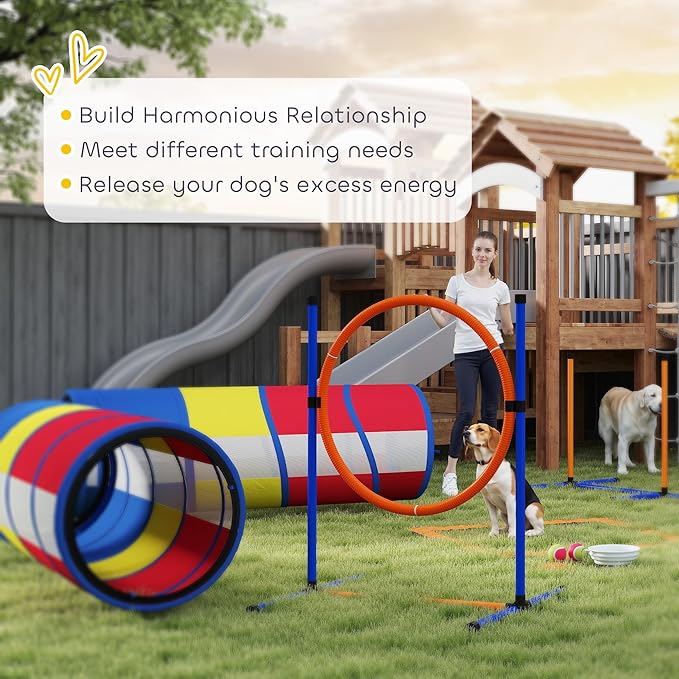 PawHut Dog Agility Training Equipment, 12-Piece Dog Obstacle Course - Image 7
