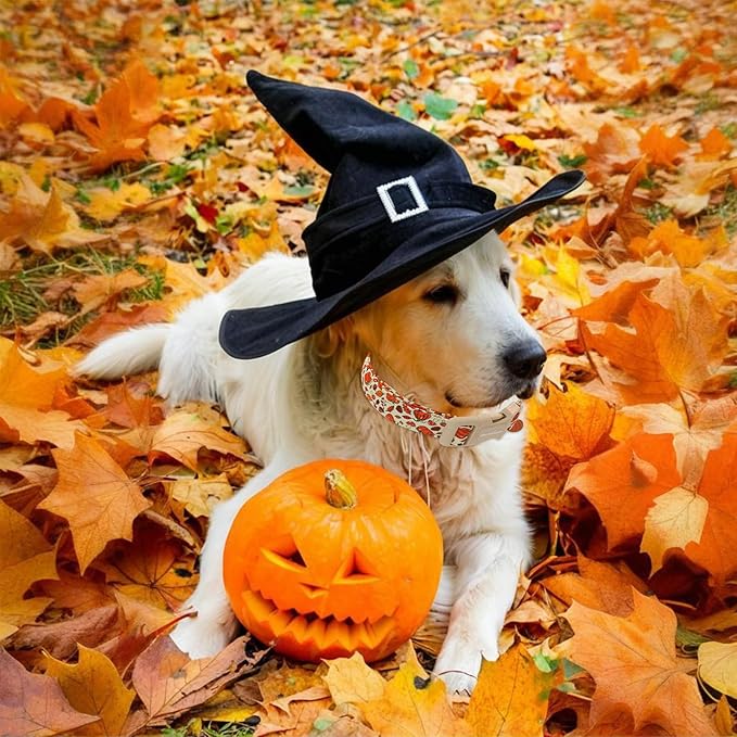 Fall Dog Collar – Halloween & Thanksgiving Dog Collars - Image 7