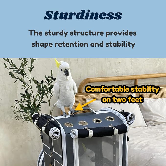 Birds Day Cockatoo Carrier Backpack-Parrot Travel Cage - Image 7