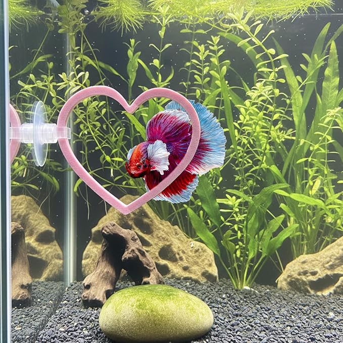 Heart Swim Ring Decor for Betta Fish, Interactive Exercise Toy for Aquariums - Image 2