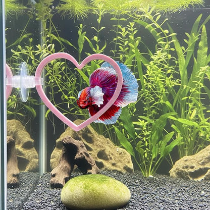 Heart Swim Ring Decor for Betta Fish, Interactive Exercise Toy for Aquariums - Image 2