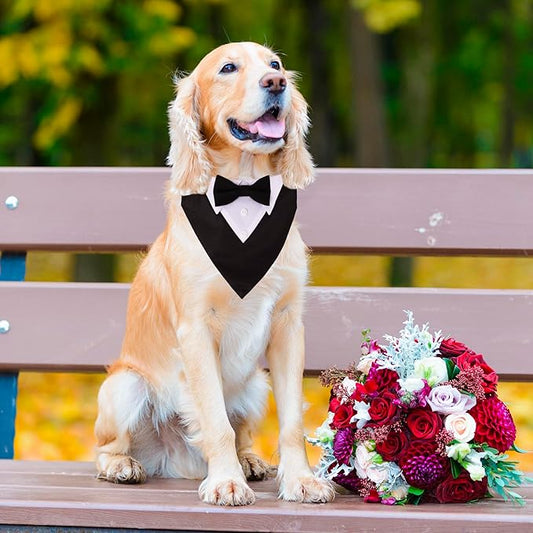 ADOGGYGO Formal Dog Tuxedo, Wedding Dog Collar - Image 2