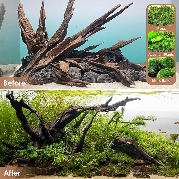 Jorewood Natural Small Aquarium Driftwood - Image 7