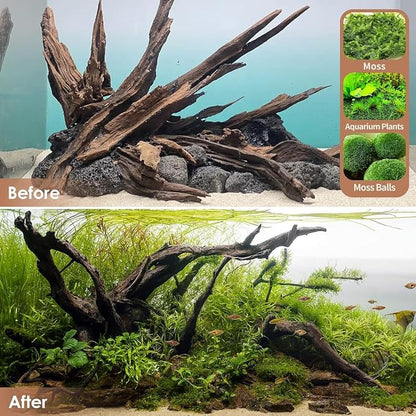 Jorewood Natural Aquarium Driftwood - Image 7