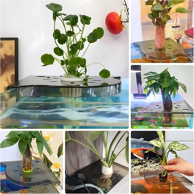 Aquarium Plant Holder for Rimless Fish Tank – 2 Pcs Corner Shelf for Fish Tank - Image 2