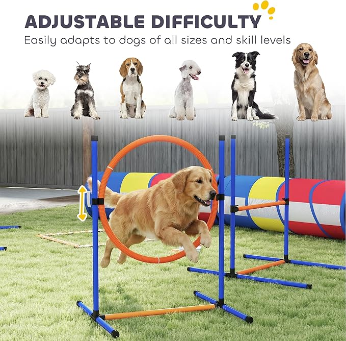 PawHut Dog Agility Training Equipment, 12-Piece Dog Obstacle Course - Image 6