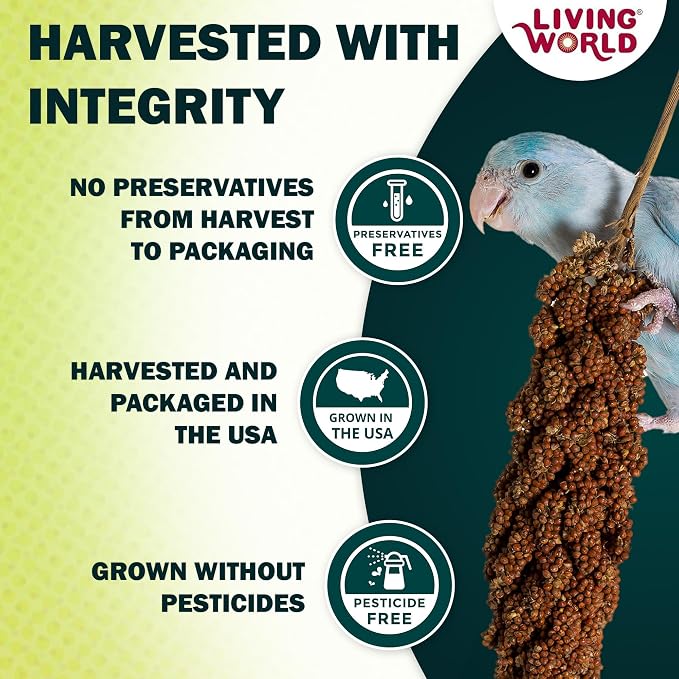 Living World – Millet Spray for Birds, 7 Oz – Premium Treat for Budgies - Image 5