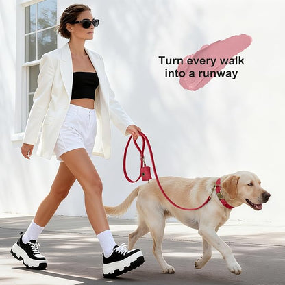 Didog Soft PU Leather Dog Collar, Stylish Quick Released Dog Collar - Image 4