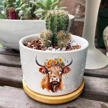 Highland Cow Succulent Pots 3 Pack, 3 Inch Succulent Planters - Image 6