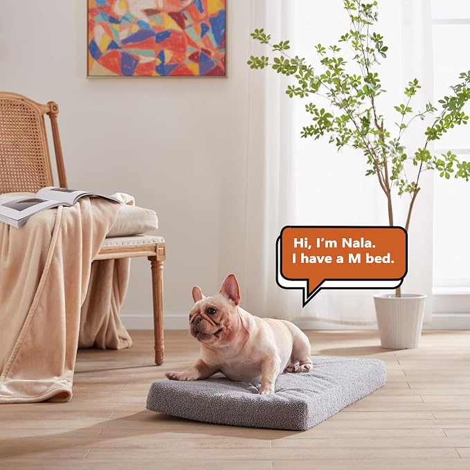 Memory Foam Large Dog Bed, Orthopedic Dog Beds - Image 6