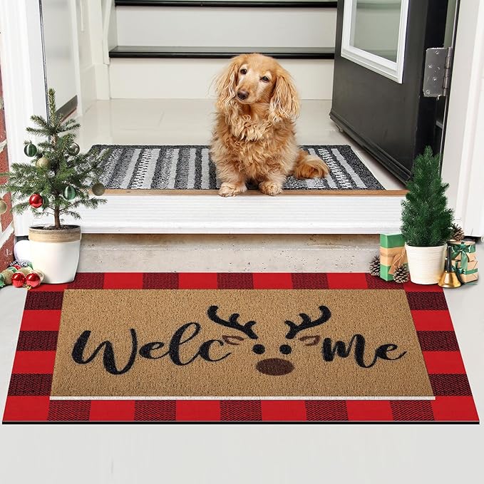 Tinideya 2 Pcs Door Mat Welcome Non Slip Coir Mats Floor Layering Doormats - Image 4