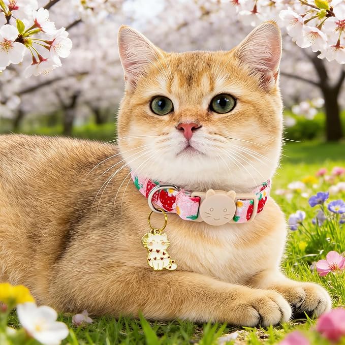 Spring Cat Collar-2 Pack Collars Strawberry and Flower Print Breakaway - Image 6
