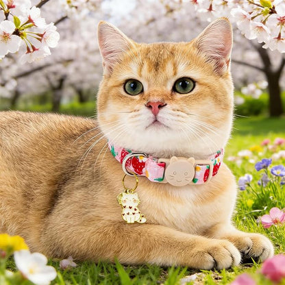 Spring Cat Collar-2 Pack Collars Strawberry and Flower Print Breakaway - Image 6