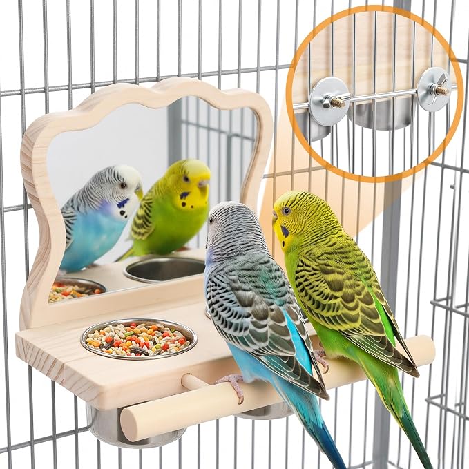 Feeder with Acrylic Mirror & Stainless Steel Bowls, Natural Wood Perch - Image 8