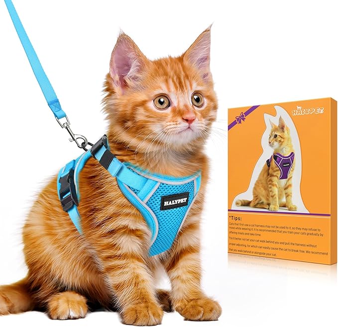 Halypet Cat Harness and Leash Set Escape Proof Adjustable Cat Leash Comfortable by DOMoreWithYourPet